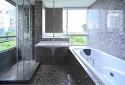 Suites @ Cairnhill (D9), Apartment #467782901
